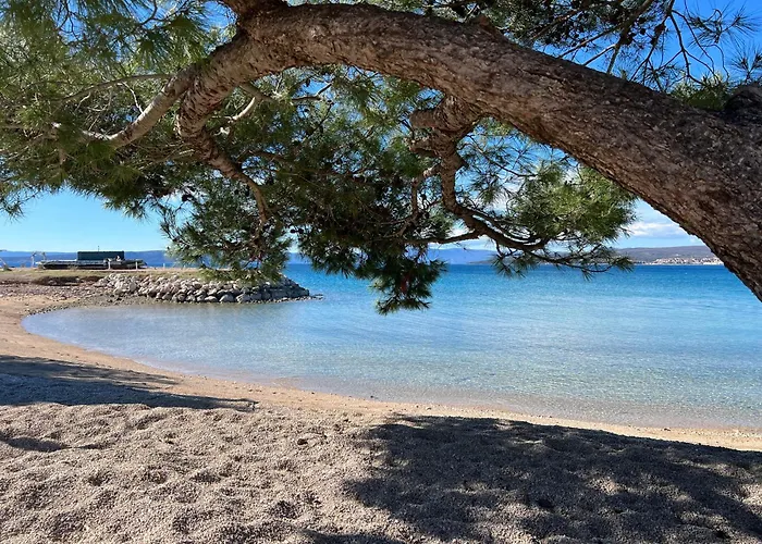 Laguna *