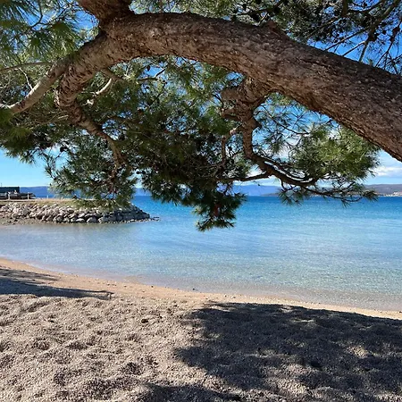 Laguna *