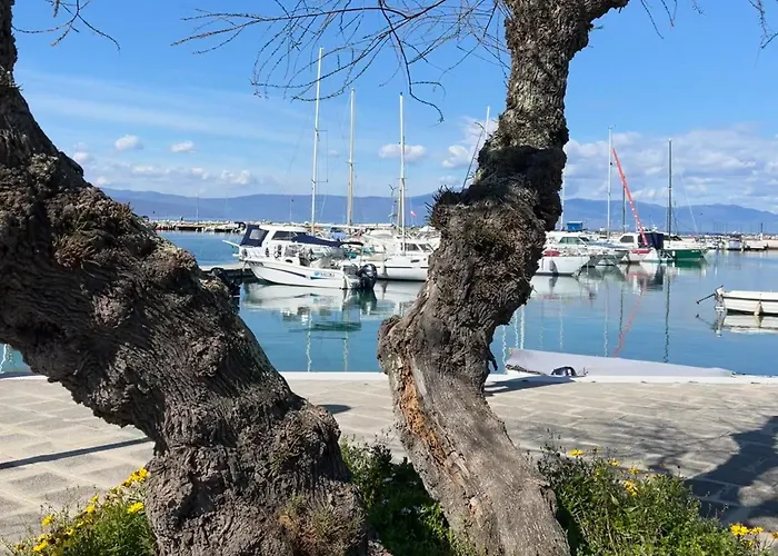 아파트 Laguna 푸나트